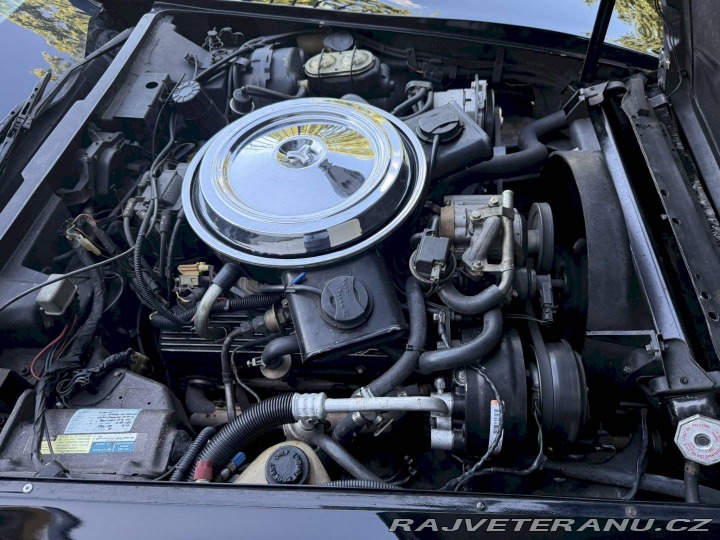 Chevrolet Corvette C3 „Stingray“ 1981