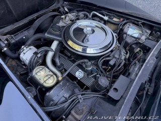 Chevrolet Corvette C3 „Stingray“ 1981
