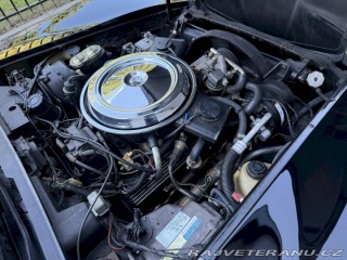 Chevrolet Corvette C3 „Stingray“ 1981