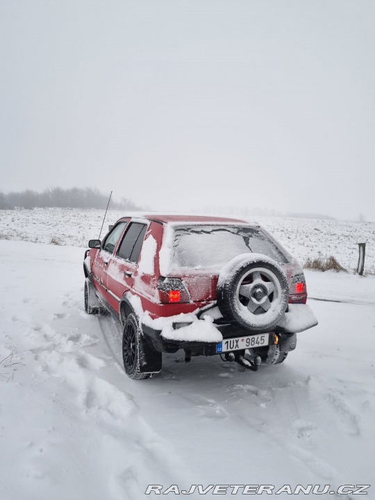 Volkswagen Golf country 1991