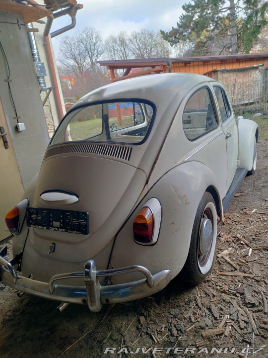 Volkswagen Brouk  1967
