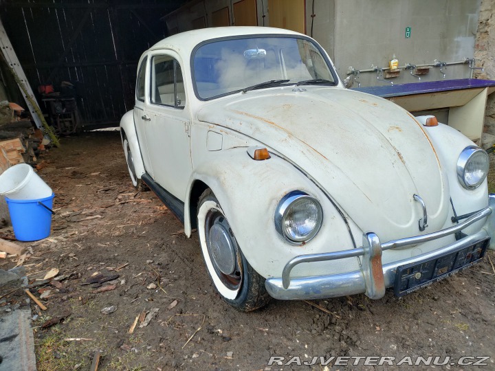 Volkswagen Brouk  1967