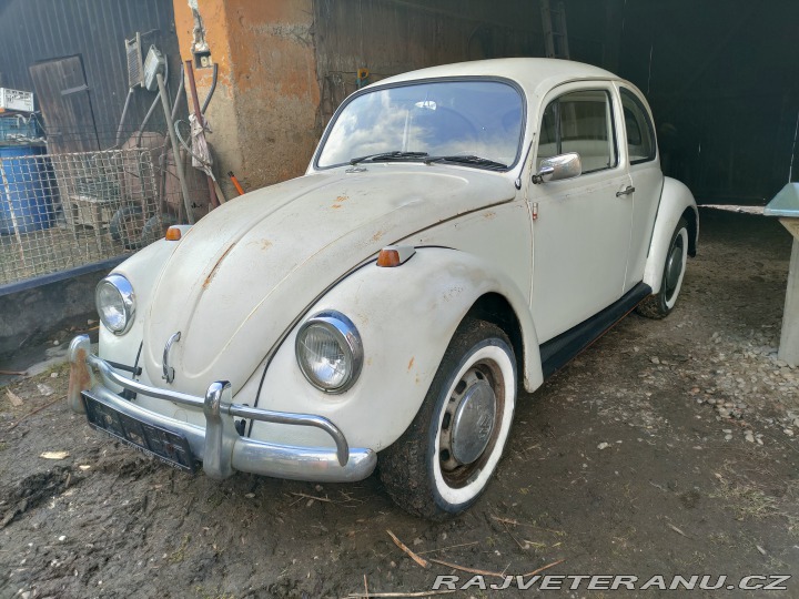 Volkswagen Brouk  1967