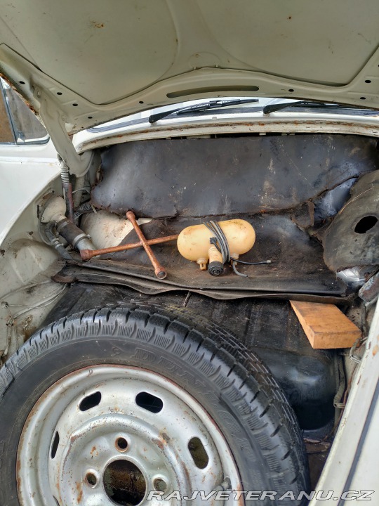 Volkswagen Brouk  1967