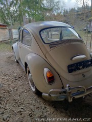 Volkswagen Brouk  1967