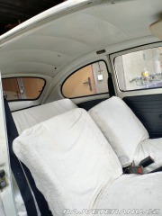 Volkswagen Brouk  1967