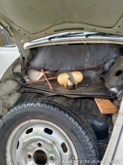 Volkswagen Brouk  1967