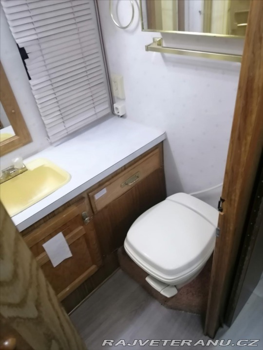 Ford F 7,5 Fleetwood Pace Arow 1990