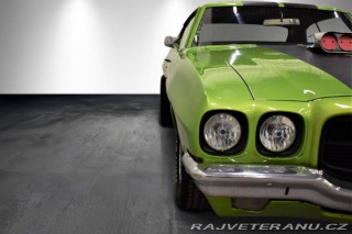 Pontiac LeMans GTO 400 Tribute HT V8 6,6l 500hk 1971