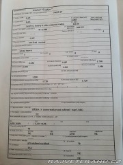 GAZ 67 Čapájev 1944