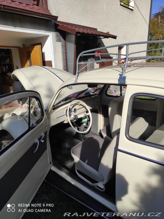 Volkswagen Brouk 11 1968