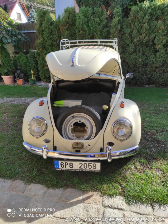 Volkswagen Brouk 11 1968