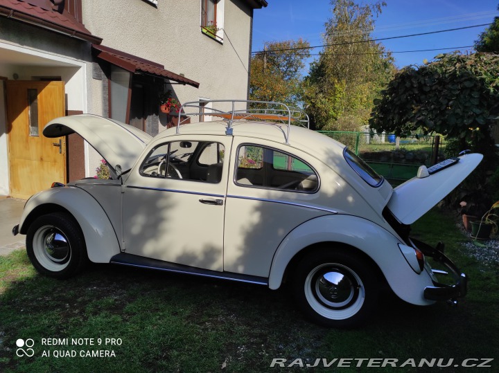 Volkswagen Brouk 11 1968