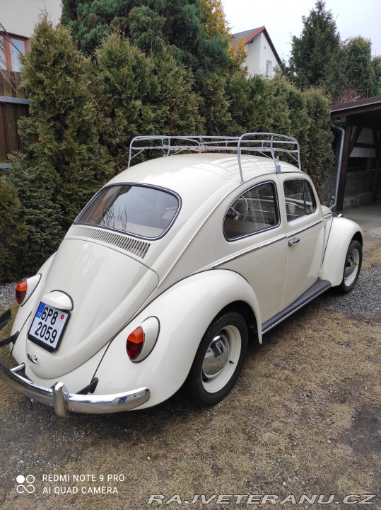 Volkswagen Brouk 11 1968