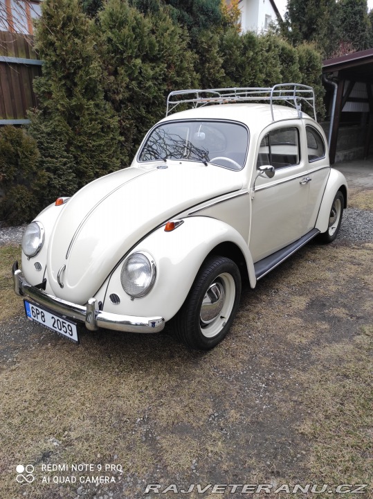 Volkswagen Brouk 11 1968