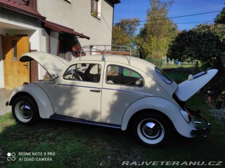 Volkswagen Brouk 11 1968