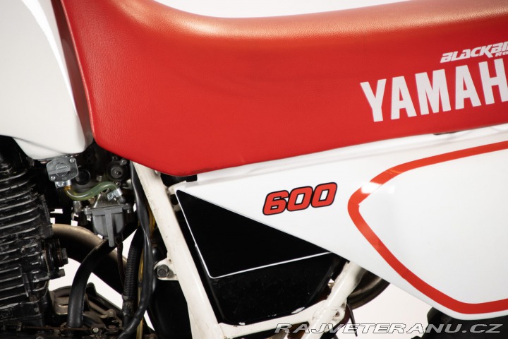 Yamaha Ostatní modely TT 600 1985