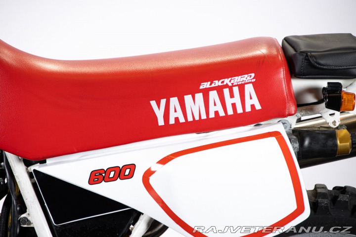 Yamaha Ostatní modely TT 600 1985