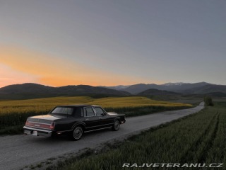 Lincoln Town Car 5.0 V8 1984