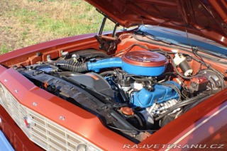 Ford Torino 302 V8 1974