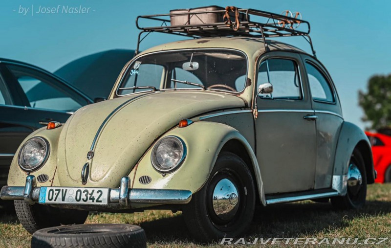 Volkswagen Brouk