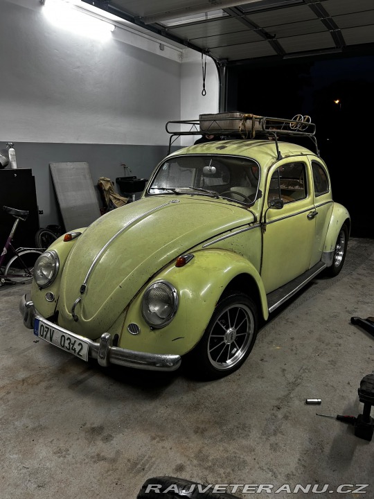Volkswagen Brouk 1960