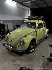Volkswagen Brouk 1960