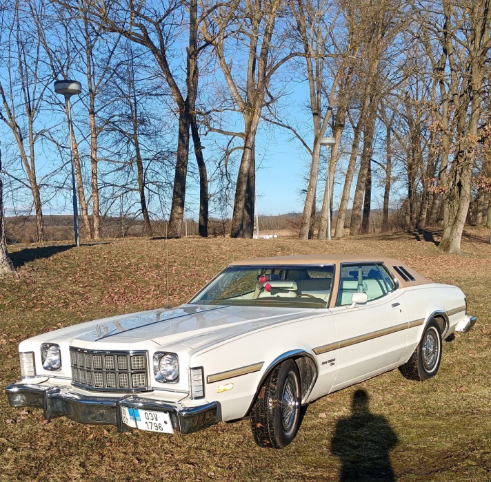 Ford Torino Grantorino