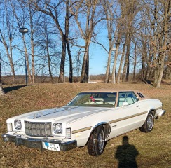 Ford Torino Grantorino