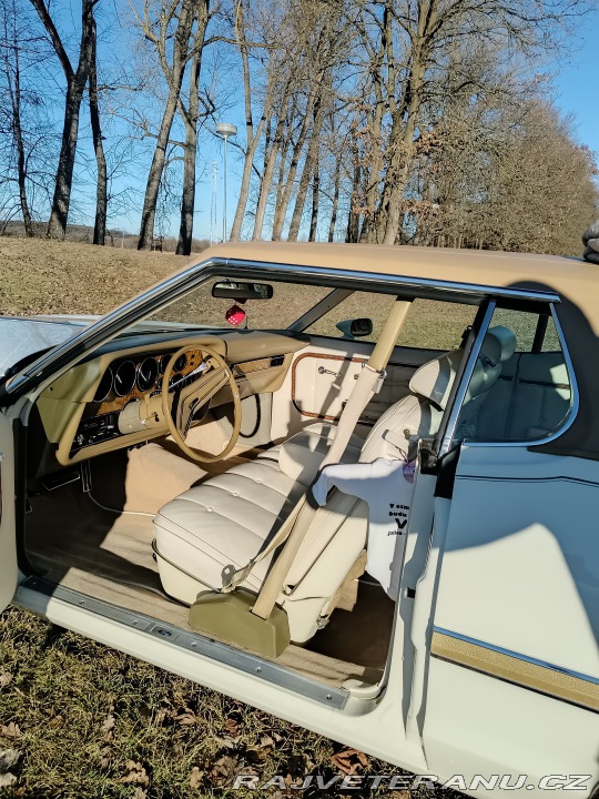 Ford Torino Grantorino 1974