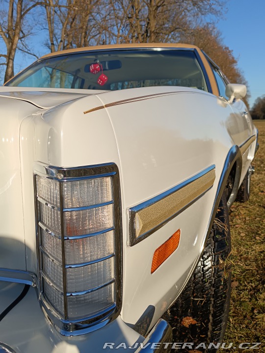 Ford Torino Grantorino 1974