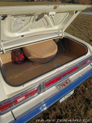 Ford Torino Grantorino 1974