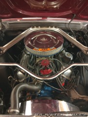 Ford Mustang Fastback 1967