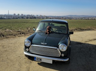 Mini Cooper Mini Rover 1.3 Mpi