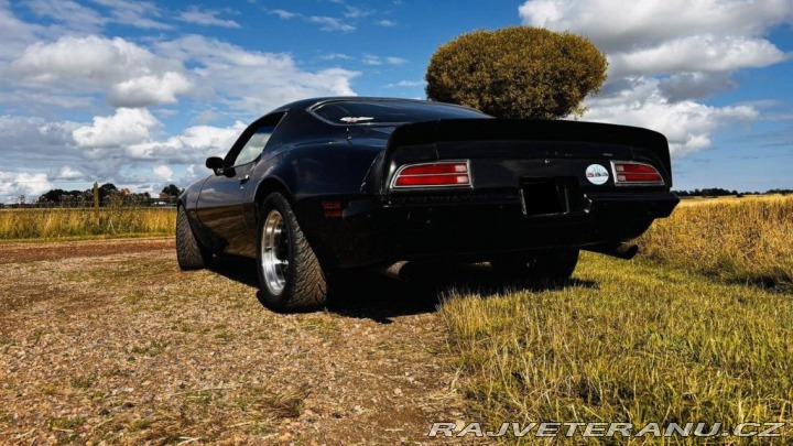 Pontiac Firebird Esprit 6.6 V8 Hydra-Matic 1970