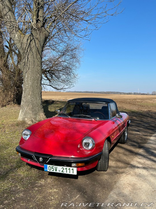 Alfa Romeo Spider 115 1986