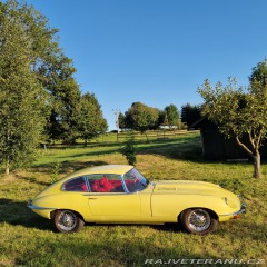 Jaguar E-Type Jaguar E-Type 1 serie 4,2 1968
