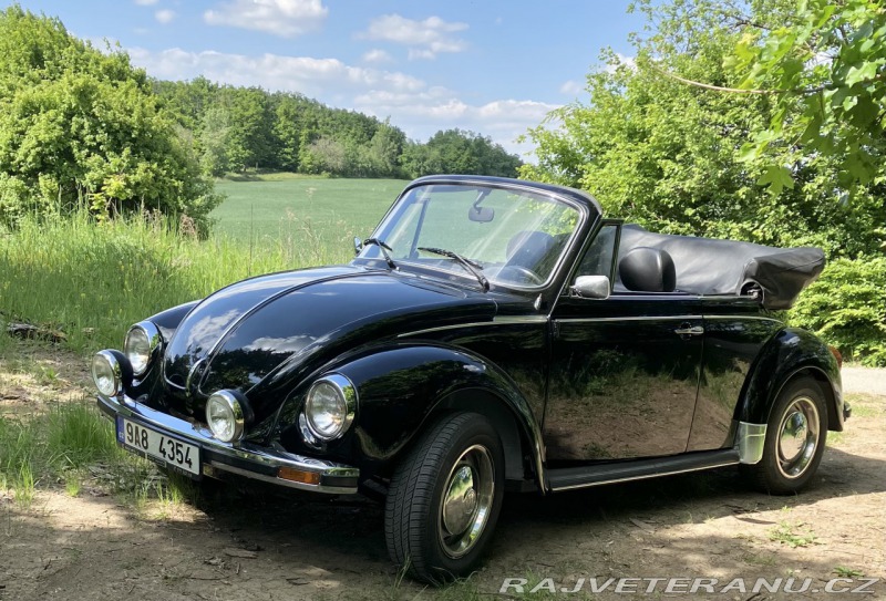 Volkswagen Brouk 1303