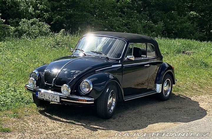 Volkswagen Brouk 1303 1976