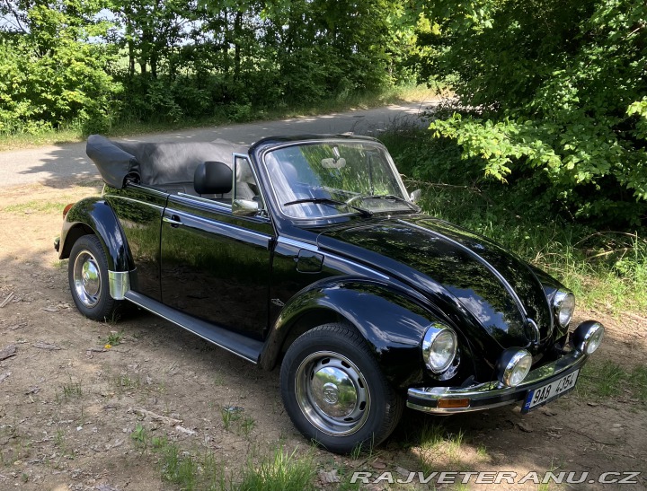 Volkswagen Brouk 1303 1976