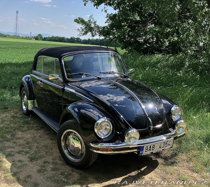 Volkswagen Brouk 1303 1976