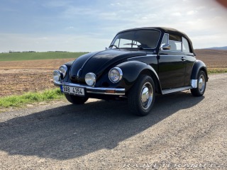 Volkswagen Brouk 1303 1976