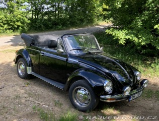 Volkswagen Brouk 1303 1976