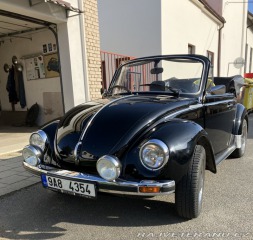 Volkswagen Brouk 1303 1976