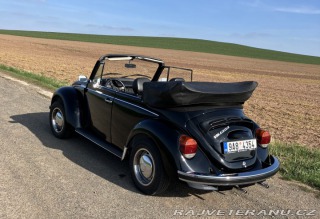 Volkswagen Brouk 1303 1976