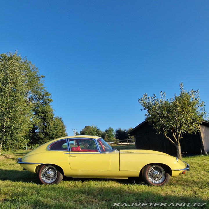 Jaguar E-Type Jaguar E-Type 1 Série 4,2 1968