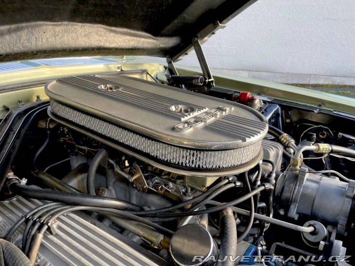 Ford Mustang Shelby GT500 1967