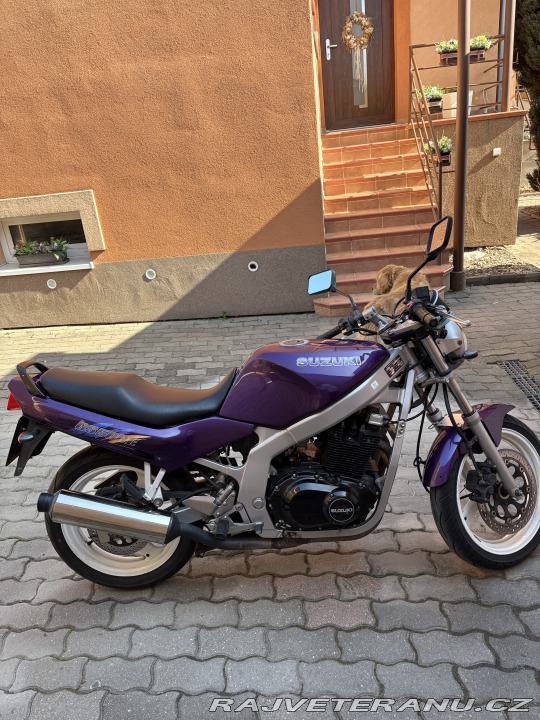 Suzuki GS 500E 1995