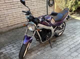 Suzuki GS 500E 1995