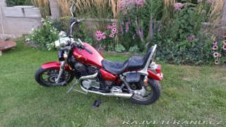 Honda VT 700C RC19 1985